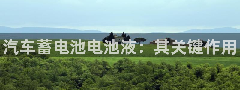 优发国际集团股份有限公司招聘