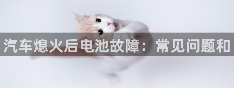 优发国际手机版网站下载