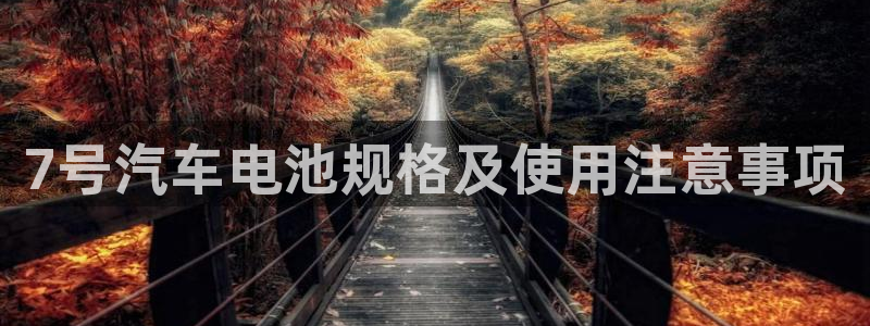 优发国际 干什么的
