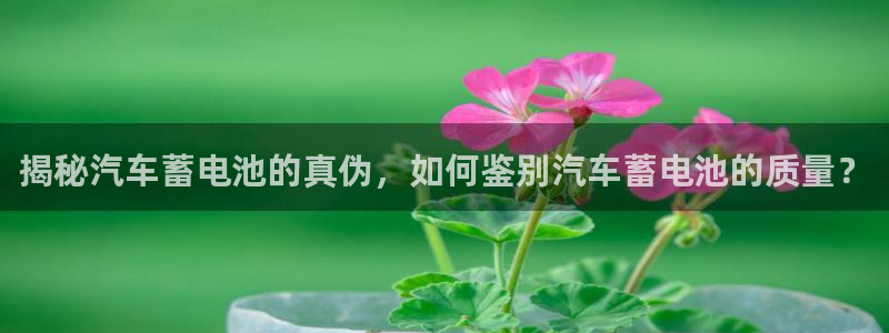 优发国际手机app下载安装官网