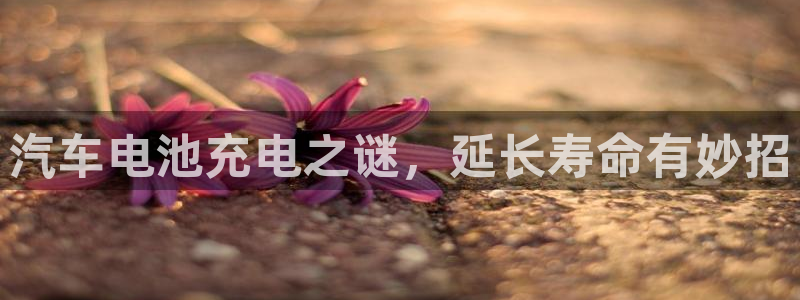 优发国际手机登录下载安装苹果