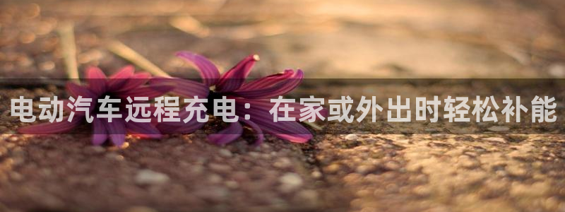优发国际官网,首页