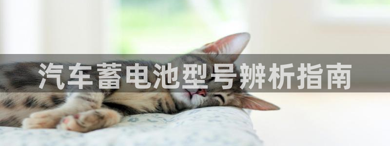 优发国际网官网址是多少