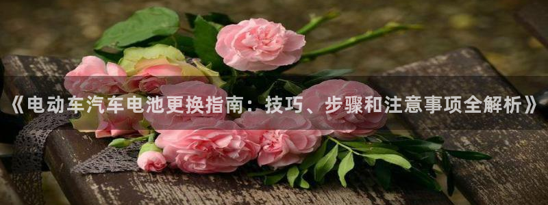 优发国际网站多少