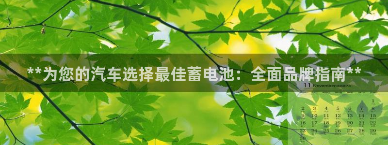 优发国际游戏17岁能玩吗