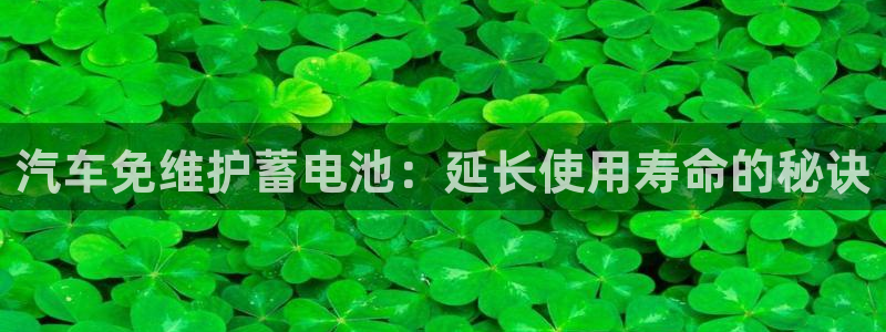 优发国际下载安装app