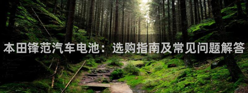 优发国际顶级