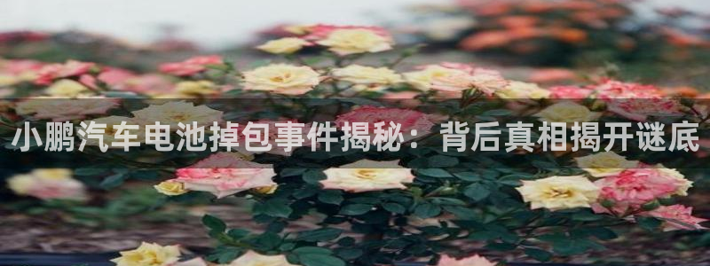 优发国际软件下载官网
