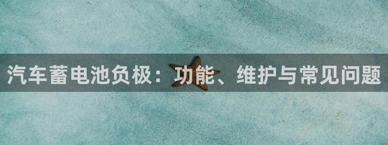 优发国际平台app下载安装