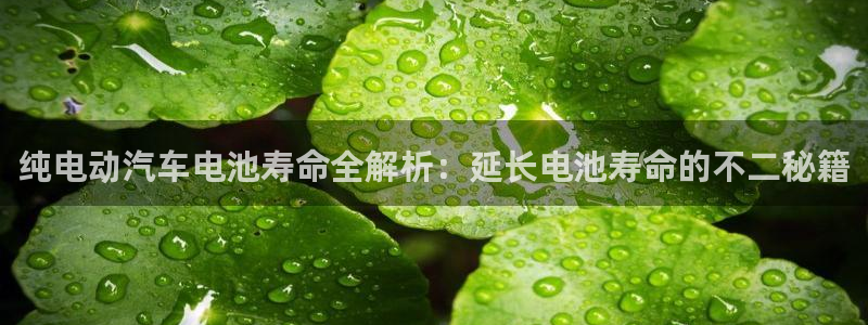 优发国际软件下载官网