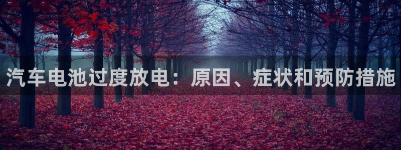 优发国际网官网17q8