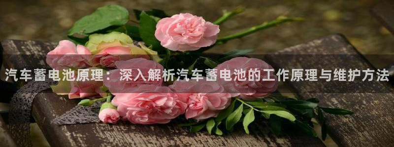 优发国际youfa966