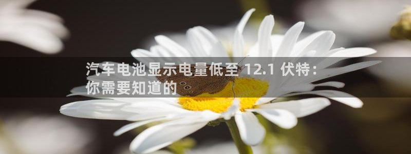 优发国际平台手机版下载