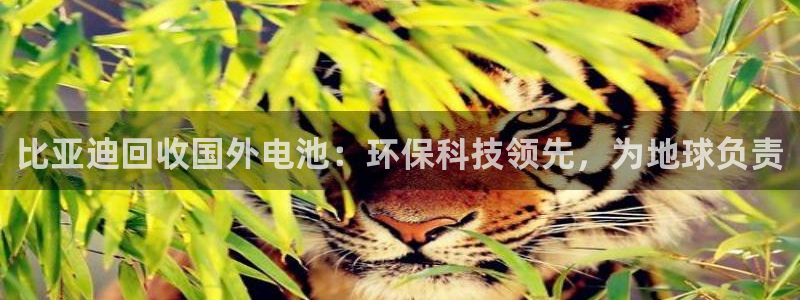 优发国际手机版官网入口