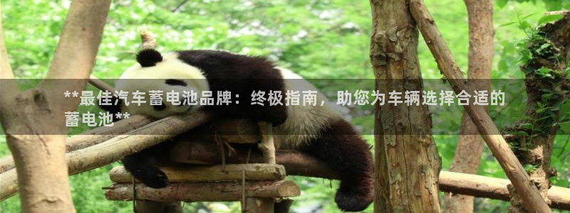 优发国际安卓版下载安装教程