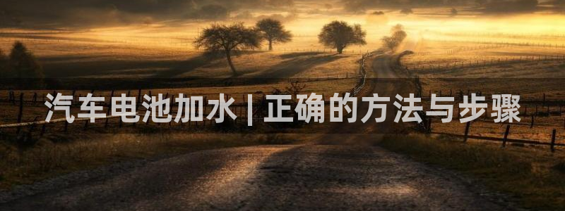 优发国际集团股份有限公司