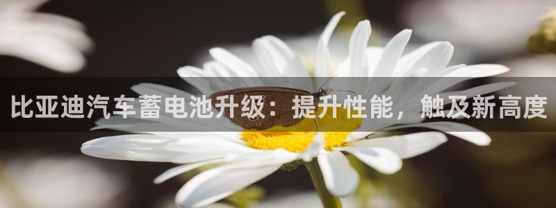 u优发国际首页