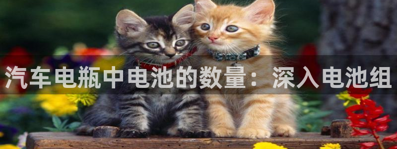 优发国际