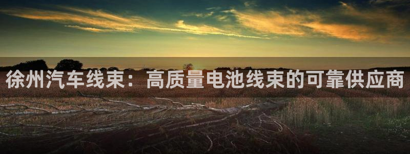 优发国际官网下载