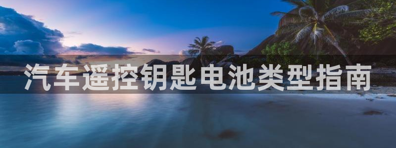 优发国际手机客户端下载不了：汽车遥控钥匙电池类型指南