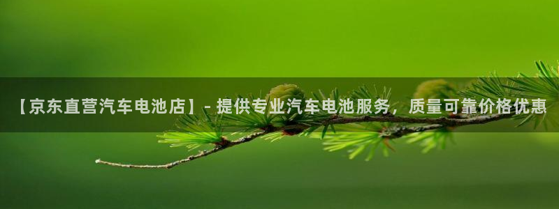 优发国际手机版官网下载
