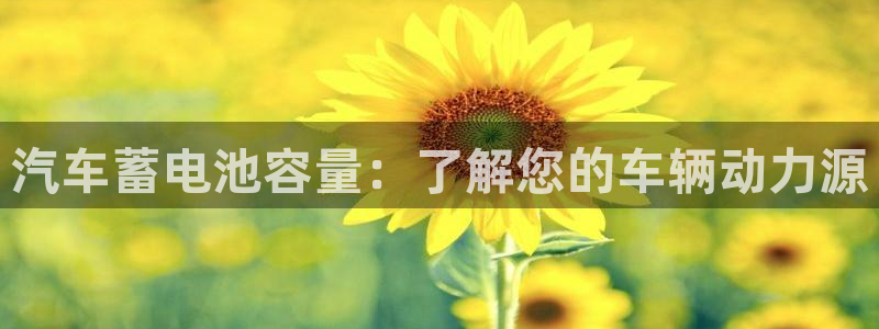 优发国际集团股份有限公司是国企吗