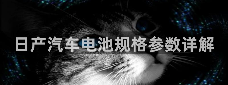 优发国际youfa