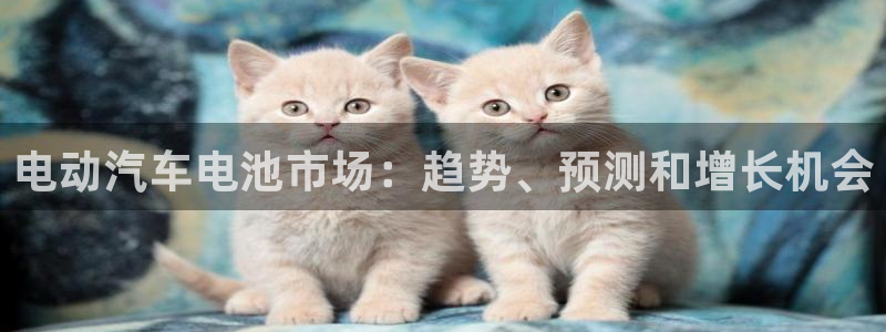 优发国际手机版客户端下载