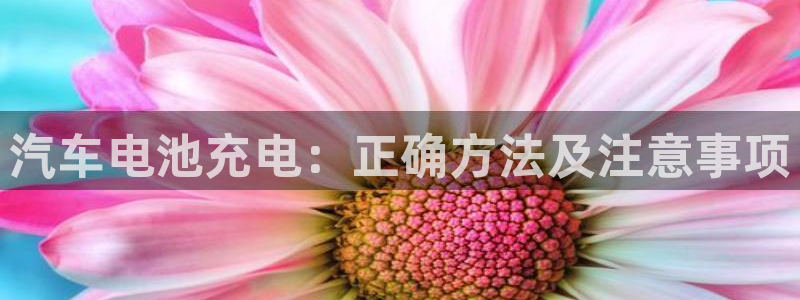 优发国际客服联系方式
