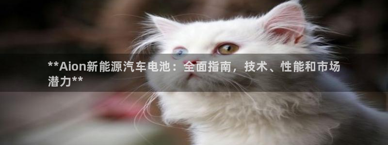 优发国际是合法的吗安全吗：**Aion新能源汽车电池：全面指南，技术、性能和市场
潜力**