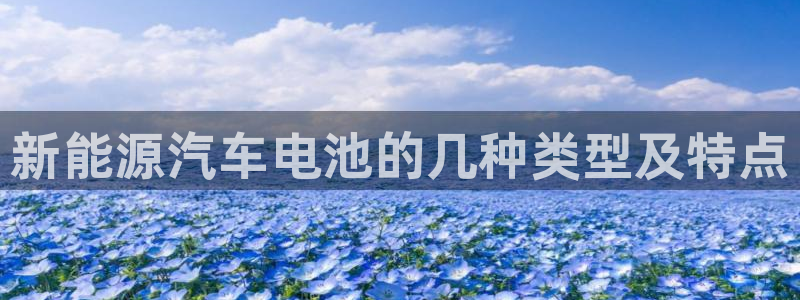 优发国际是大平台吗还是小平：新能源汽车电池的几种类型及特点