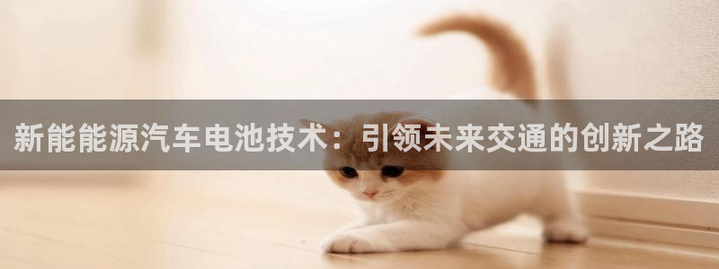 优发国际登录l8：新能能源汽车电池技术：引领未来交通的创新之路