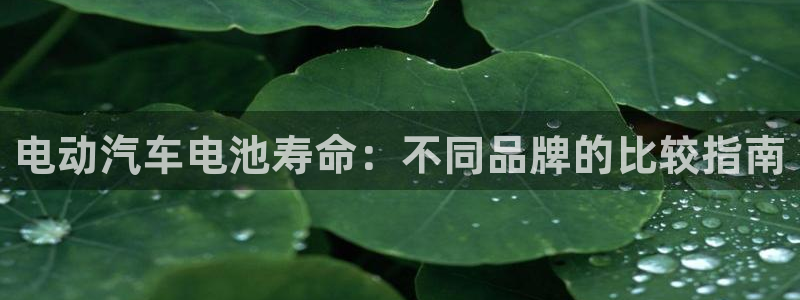 优发娱乐官网app下载：电动汽车电池寿命：不同品牌的比较指南