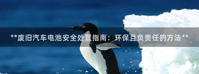 优发国际 干什么的