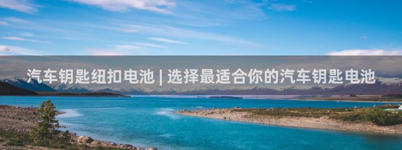 优发国际登录首页：汽车钥匙纽扣电池 | 选择最适合你的汽车钥匙电池