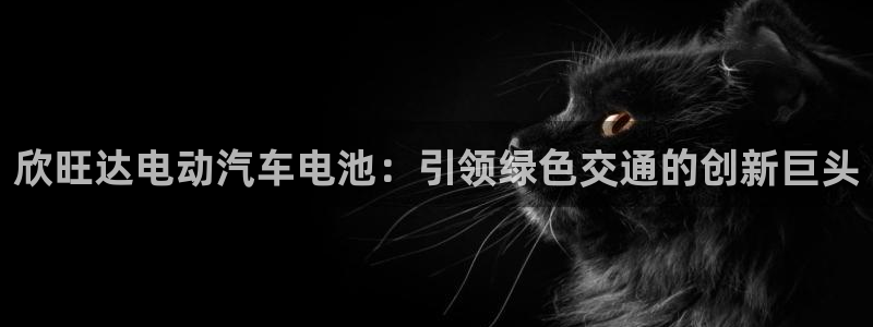 优发国际手机app下载安装官网：欣旺达电动汽车电池：引领绿色交通的创新巨头