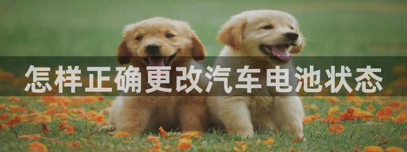优发国际官方网平台登录：怎样正确更改汽车电池状态