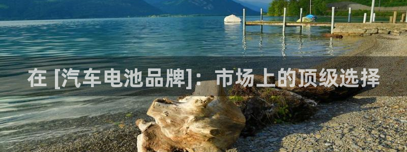 优发国际官方网手机版下载：在 [汽车电池品牌]：市场上的顶级选择