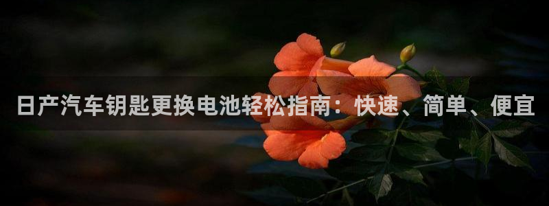 优发国际安卓版下载安装苹果：日产汽车钥匙更换电池轻松指南：快速、简单、便宜