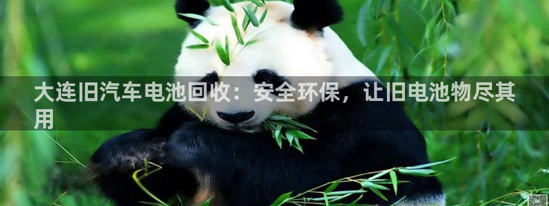 优发国际登录k8：大连旧汽车电池回收：安全环保，让旧电池物尽其
用
