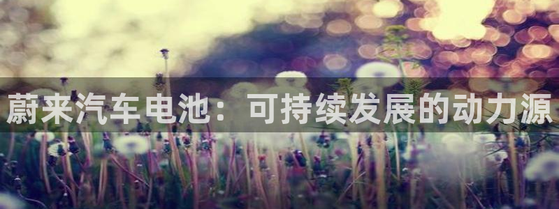 优发国际app官网下载安装苹果手机：蔚来汽车电池：可持续发展的动力源