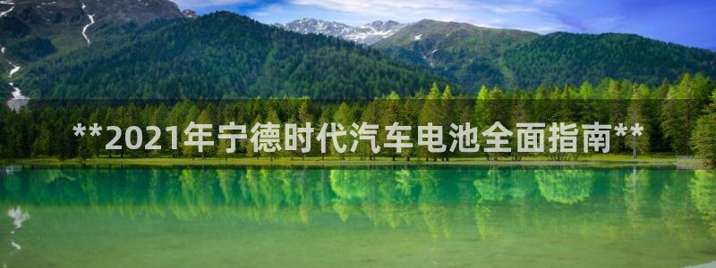 优发国际是不是黑网：**2021年宁德时代汽车电池全面指南**