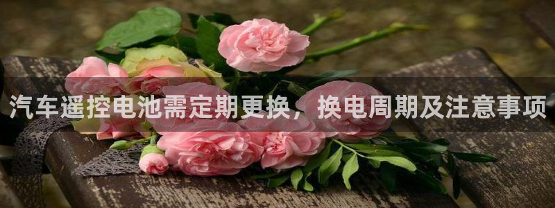 优发国际安卓版下载安装苹果：汽车遥控电池需定期更换，换电周期及注意事项