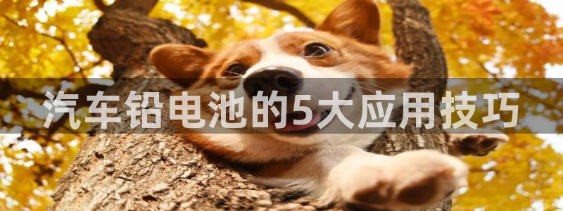 优发国际首页首页登录：汽车铅电池的5大应用技巧
