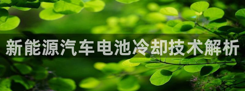 优发国际注册平台怎么样：新能源汽车电池冷却技术解析
