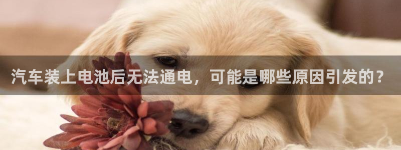 优发国际首页首页y6：汽车装上电池后无法通电，可能是哪些原因引发的？