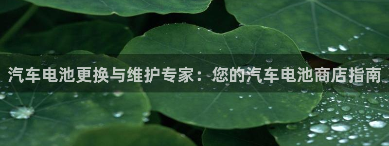 优发国际网官网17w80是什么：汽车电池更换与维护专家：您的汽车电池商店指南