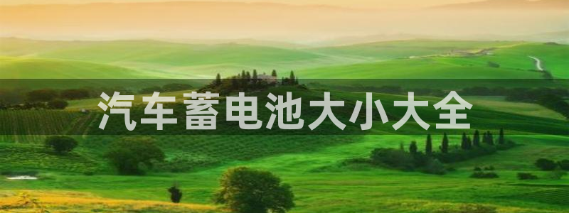 优发国际不出款了吗：汽车蓄电池大小大全