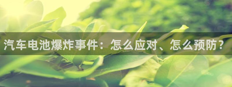 优发国际手机版客户端下载：汽车电池爆炸事件：怎么应对、怎么预防？