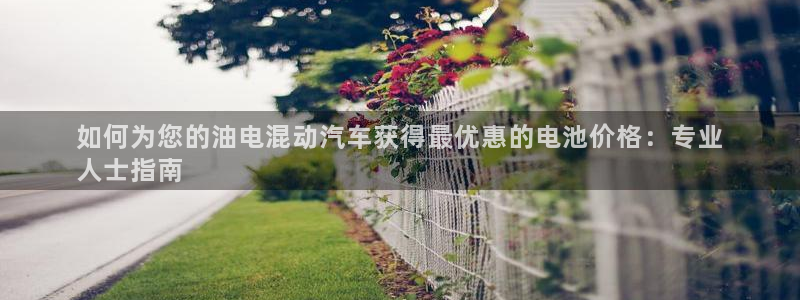 优发国际官网手机版下载安卓：如何为您的油电混动汽车获得最优惠的电池价格：专业
人士指南